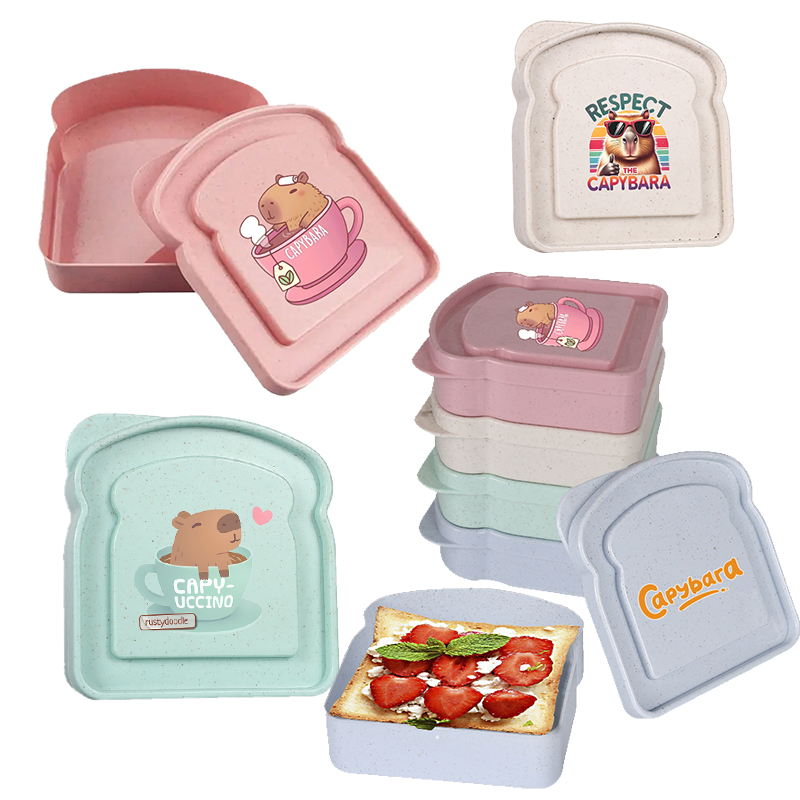 Capybara Sandviç Gıda Saklama  - Food Snacks Box incelemesi ve fiyatı